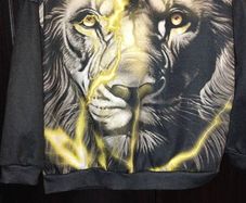 Boys Lion Hoodie