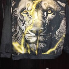 Boys Lion Hoodie