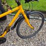 frog bike Image 3