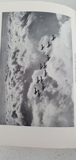 Winged Words - Our Airmen Speak For Themselves - Vintage Book Hardback 1940's