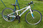 Carerra Saruna Bike