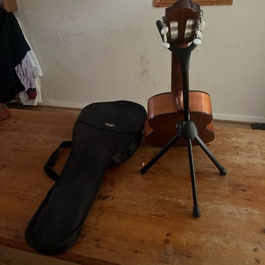 Guitars