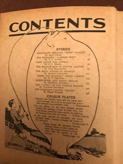 Vintage 'The Rover Book for Boys'