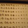 Ear Rings 100 Pairs in Display Box Image 5