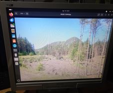 Monitor