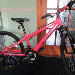 Kids mountain bike