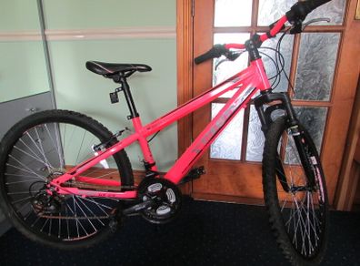 Kids mountain bike