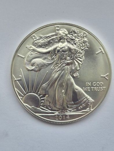1 oz American Silver Eagle Bullion Coins