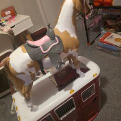 Generation horse trailer and horses