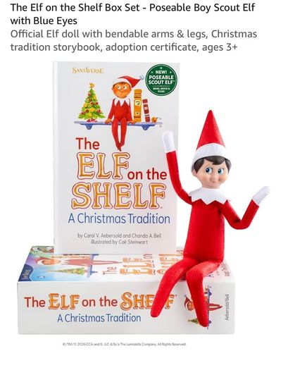 BN Elf On The Shelf Box Set ( Boy available Girl now sold)