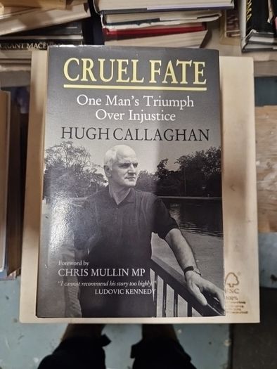 irish history,  politics and interests