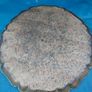 Vintage Florentine Serving Tray Image 3