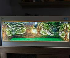 Vivarium/Terrarium