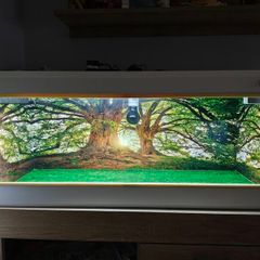 Vivarium/Terrarium