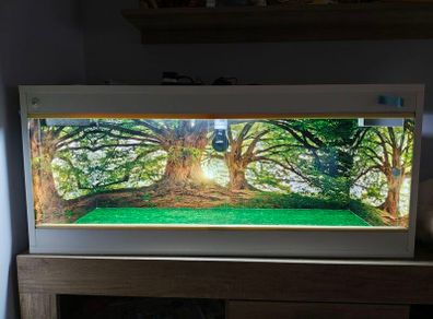 Vivarium/Terrarium