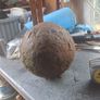 cannonball 30lb. Image 5