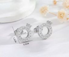 Stunning inspired earrings