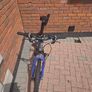 Carrera mountain bike Image 4
