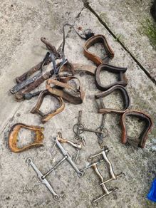 horse equipment