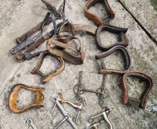 horse equipment