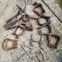 horse equipment