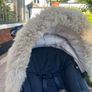 Stokke Xplory X Image 4