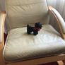 Vintage Terrier Dog Image 2