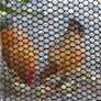 FREE EXPRESS SHIPPING Chicken Wire Mesh Roll 10m Plastic Mesh Fencing Poultry Breeding Netting Garden Balcony Fence Mesh for Home Decor and Gardening Temporary Fencing for Yard 40cm x 10cm Black Image 5