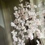 New XL 210cm high fully lit hanging blossom tree Image 4