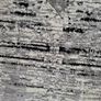 rug Image 2
