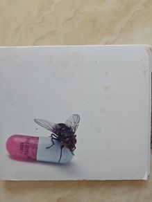 Red Hot Chili Peppers CD  - I'm With You