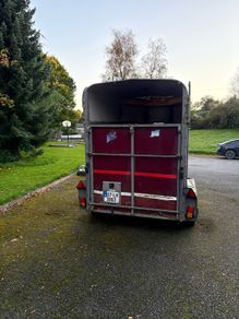 Ifor Williams HB505 Horsebox