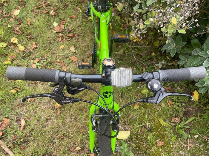 Frog 62 bike