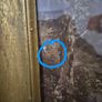 The cornfield, print, John Constable Image 5