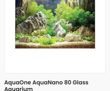 AquaOne Nano 80 Fish Tank