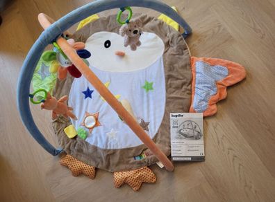 Activity/play mat