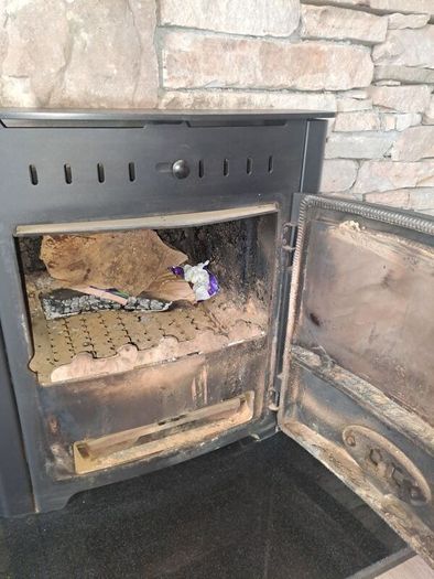 Back boiler stove
