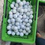 golf balls Image 2