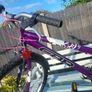 24in bike Image 4