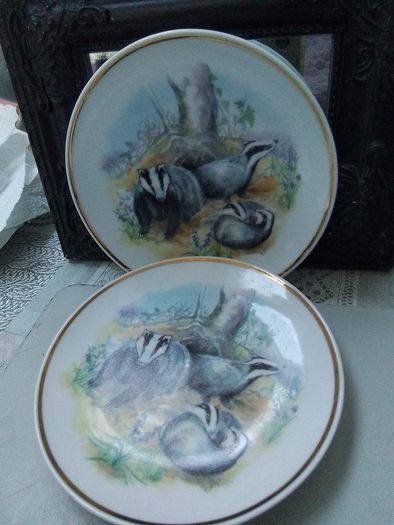 Wildlife Collectors Plate