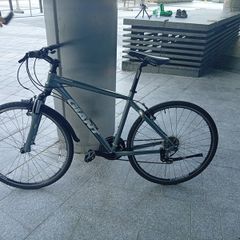 GIANT roam city bike