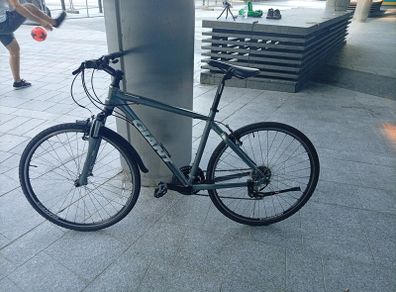 GIANT roam city bike