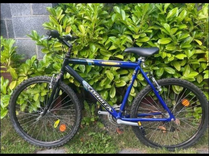 Junior boys bike 26T