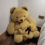 Giant teddy Image 2