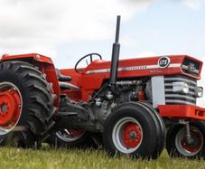 Massey Ferguson 175 (fully restored)