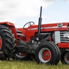 Massey Ferguson 175 (fully restored)