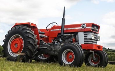 Massey Ferguson 175 (fully restored)