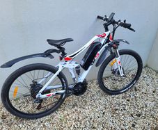 Electric Bike For Sale