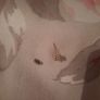 square sterling silver cz stud Image 3