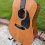 Ibanez PF10 Acoustic Guitar Image 2